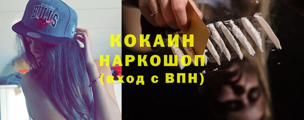 ГАЛЛЮЦИНОГЕННЫЕ ГРИБЫ Гусь-Хрустальный