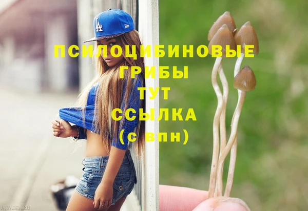 скорость Горняк